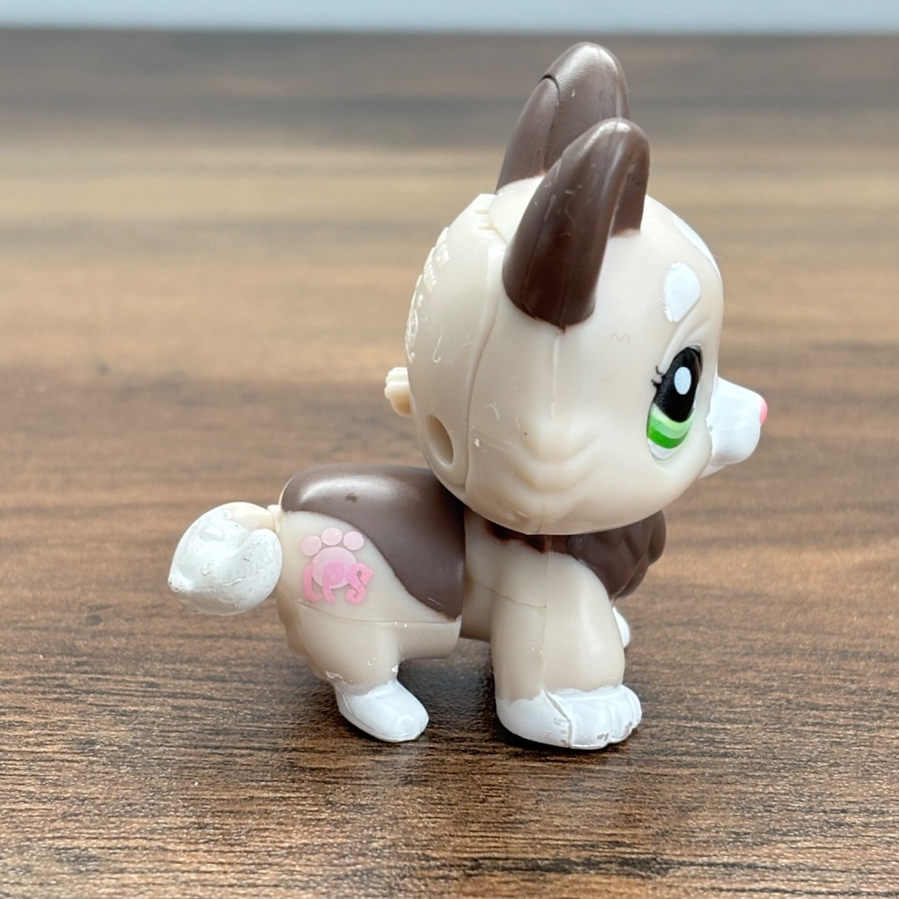 Littlest Pet Shop LPS Walkable #2311 Tan Brown Corgi Puppy Dog Toy Figure WORKS! - Picture 4 of 7